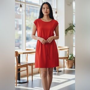 Ann Taylor Red Cap Sleeve Tie-Waist Sheath Dress Petite 2P